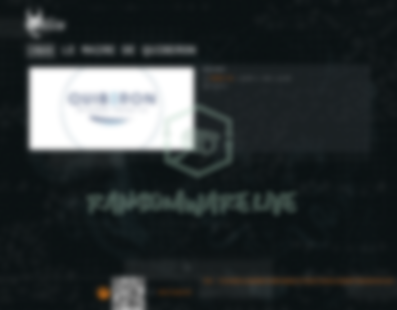 Leak site post claiming Le Maire de QUIBERON data breach