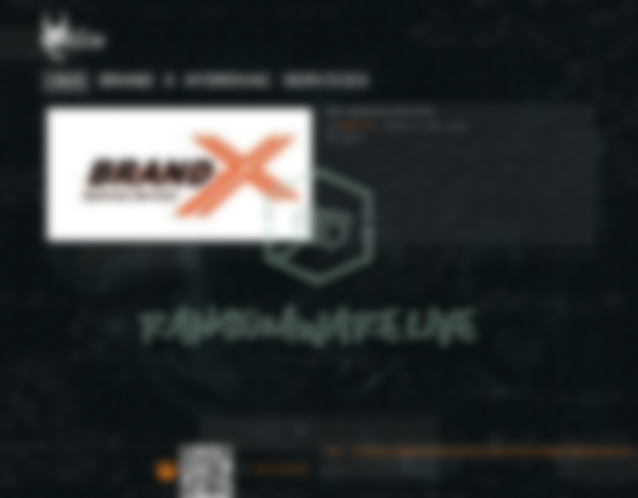 Leak site post claiming Brand X Hydrovac Services data breach